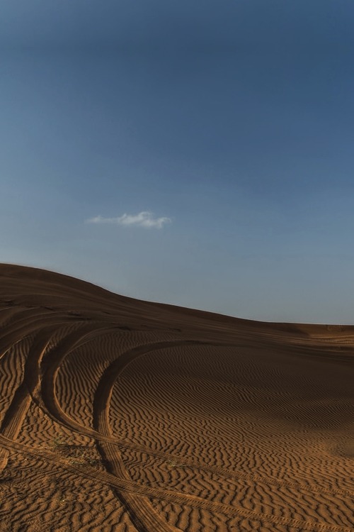 vistale:  Dubai Sands