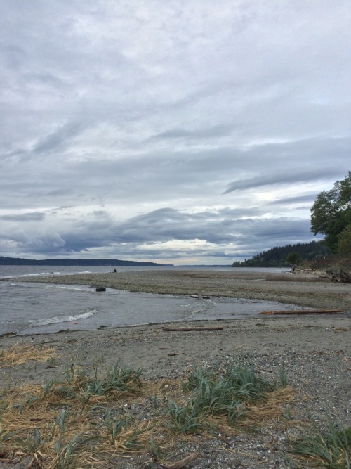 Meadowdale Beach Park, 04.23.16 by: pnwtexan &hellip; I recently moved to the Lynnwood area and 