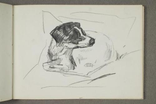 nobrashfestivity:  Edvard Munch, pictures of his dog, Fips, 1930s