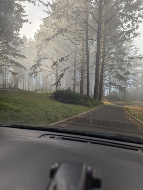 Lovely Sights Today On The Oregon Coast...