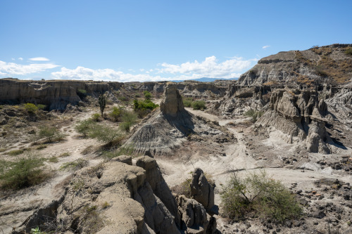 contentsmaydiffer: The Grey Desert | Tatacoa | Colombia