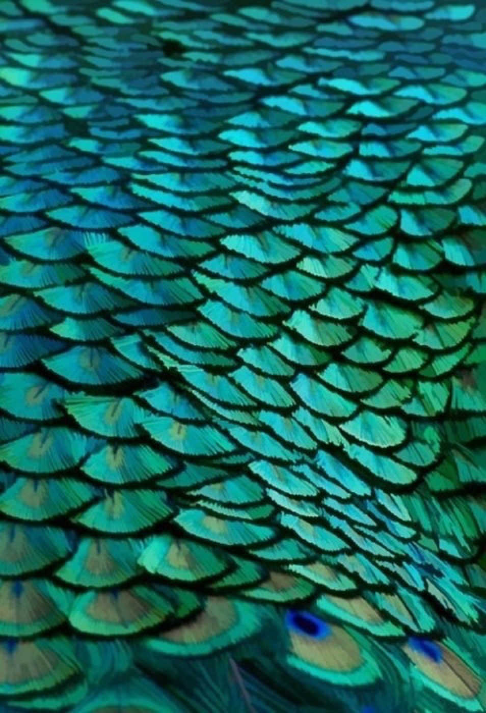 im&mdash;green:  x 