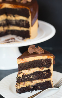 sweetoothgirl:    Peanut Butter Cup Overload