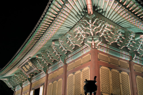 덕수궁 중화전 night view of Duksu-gung (Duksu Palace)