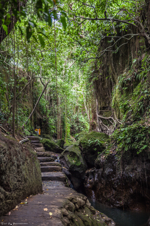 tony-f-photography:  Indonesia, Bali, Ubud 2015