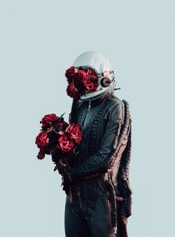 aestheticalspace:roses for you, my dear