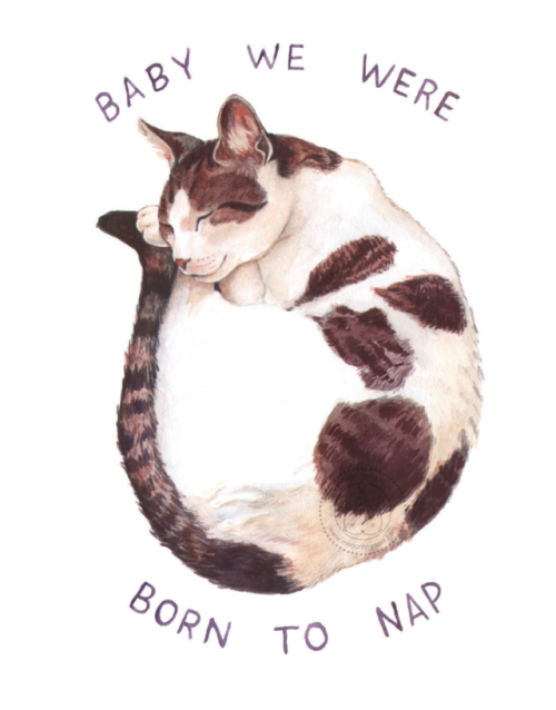 meganlynnkott:Sleepin’ in on Caturday!