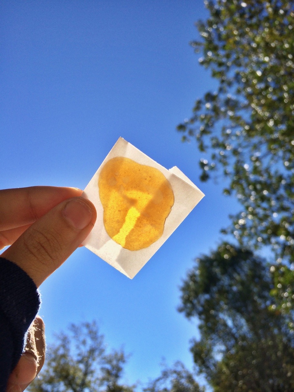 tripppydaze:  ✨✨✨✨✨