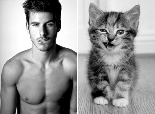 Porn thusspakekate:  nydotr:  Hot Guys and Cats photos