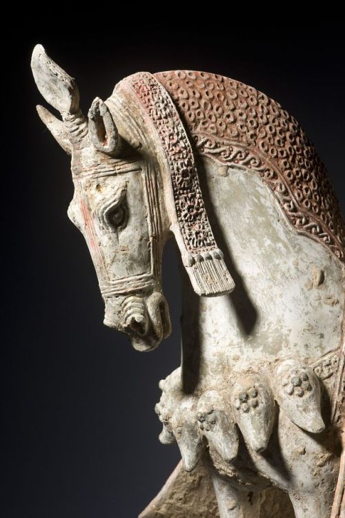 virtual-artifacts: A painted grey pottery figure of a caparisoned horse Northern Wei dynasty, 386-53