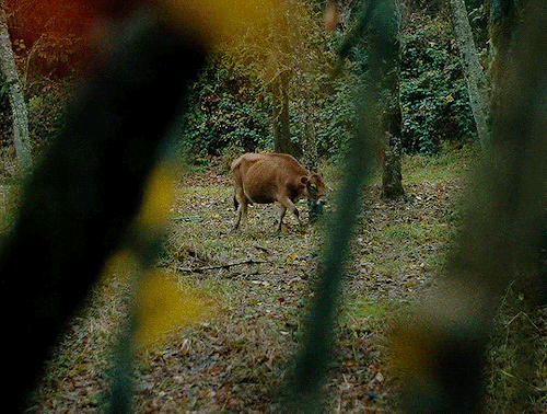 gael-garcia:First Cow (2019, Kelly Reichardt)