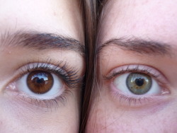 tiger-tropic:  Carlota’s eye and mine