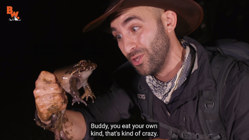 hitamory-dead-blog:All you need to know about coyote peterson is that i would die for him