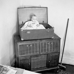 David Goldblatt