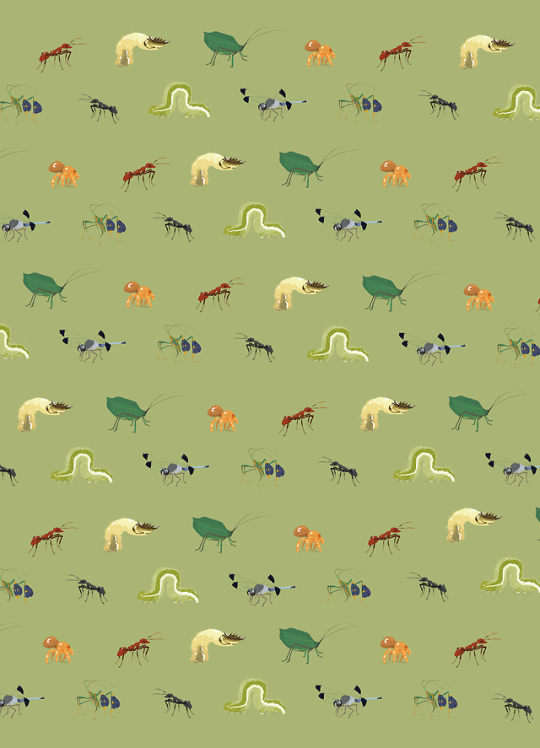 Insects pattern