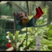 readableporn:ankle-beez:ankle-beez:Disney&rsquo;s fucking quaking in their imagine