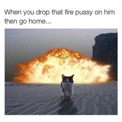 😼🔥 by hollywoodcensored