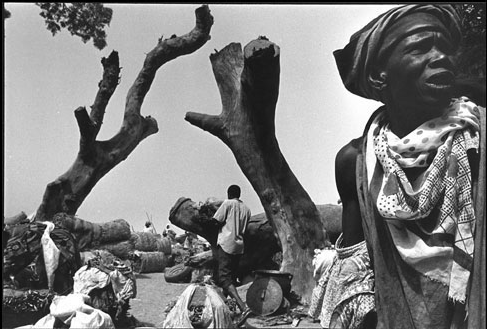 Kadir van Lohuizen: Niger - ocean to ocean (West Africa, 1996)The brown God runs from Guinee, very c