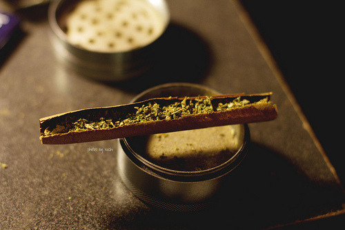 always-more-weed:  We’re now on Instagram ! Follow us @alwaysmoreweedhttps://instagram.com/alwaysmoreweed/