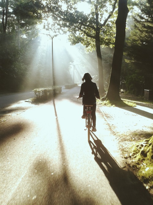 st-pam:  8:40am // On my way to school, one of the best bike rides I’ve ever had!