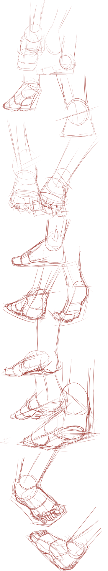 This is the foot study, I&rsquo;ve been reading up on the structure of the foot;