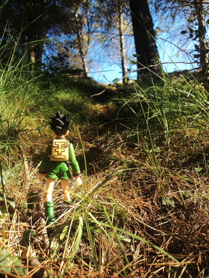 selusiblahblah:  I took some photos to my Gon figma with my compact camera! I swear
