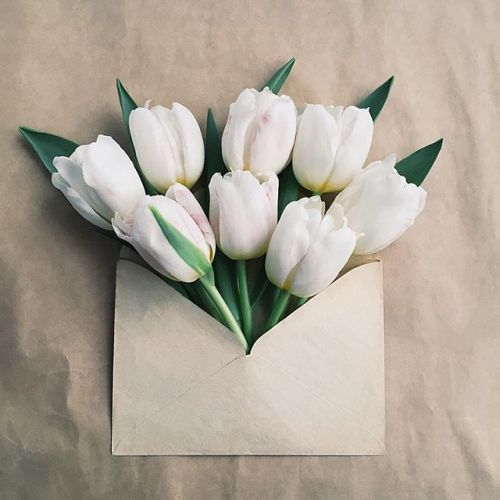 floralls:  envelope series I by anna remarchuk        