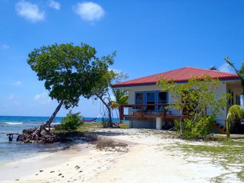 Hatchet Caye, Belize TIP: use ZOOM in right top corner