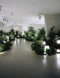 gallowhill:  nam june paik, tv garden installation