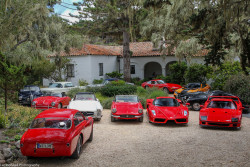 carpr0n:  Starring: Alfa Romeo 6C, Mercedes Benz SL, Ferrari 365 GTB, Mercedes Benz SL, Shelby Cobra, Porsche 356, Mercedes Benz 280SL Pagoda, Ferrari Enzo, F40 and 225  (by Lambohead Photography)