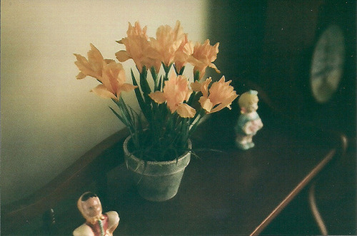 grett:  untitled by muffin clubϟ on Flickr. 