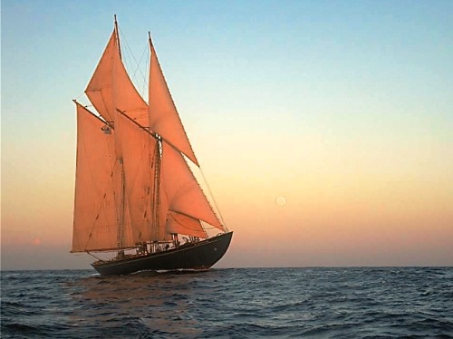 boatporn:  beat-to-windward:  Schooner Virginia at sunset   It looks more like sunrise to me but A+ either way.