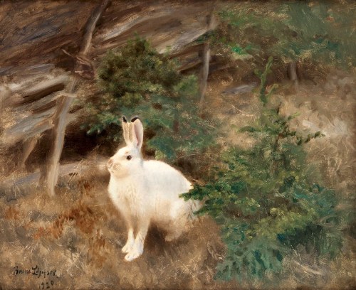 ergott:Mountain Hare, Bruno Liljefors 