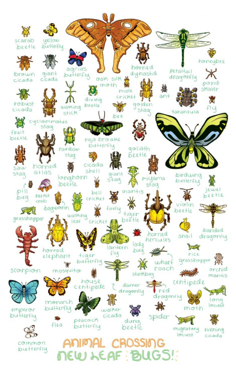 Animal Crossing Bug and Fish Posters made by Ashley Caswell
