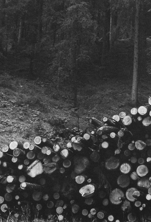 mortur: http://Mortur.tumblr.com/ 