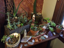 stolenfootprints: I ran out of room on my windowsills for all of my plants and crystals so I got rid of a chair and replaced it with this table to put some of them on and I am so in love!