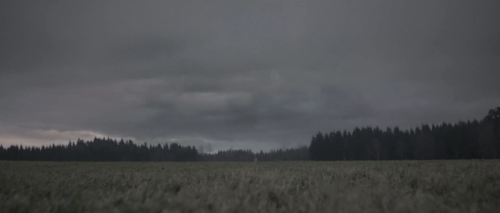 play / iamamiwhoami / dir. robin kempe-bergman;