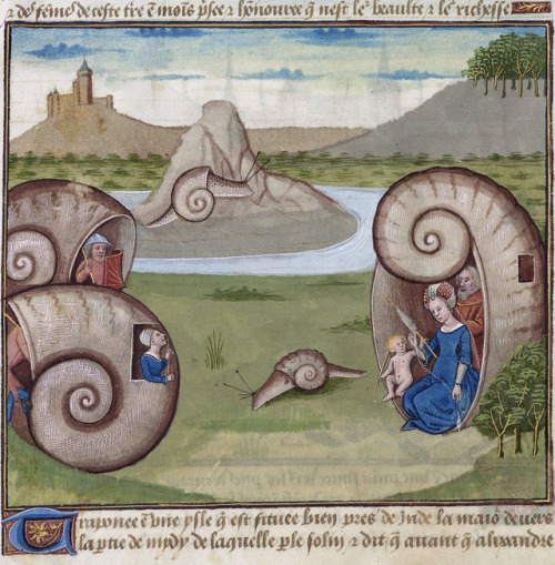 discardingimages: sustainable architecture Le secret de l'histoire naturelle, France ca. 1480-1485 B