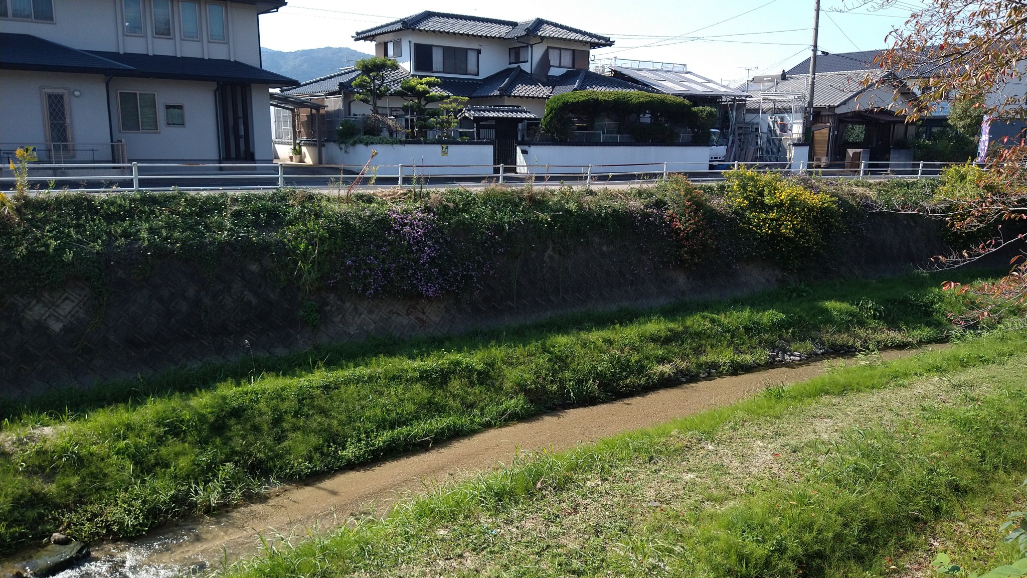 宗石遺跡群 Explore Tumblr Posts And Blogs Tumgir 宗石遺跡群 Explore Tumblr Posts And Blogs Tumgir