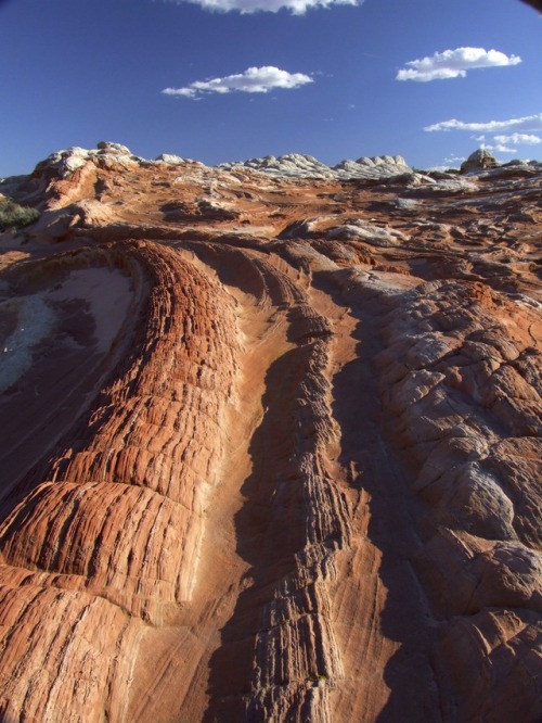 justemoinue2:Best Geology: White Pocket, Arizona