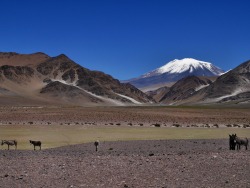 themazette:  The Mazette : Paso de San Francisco, Catamarca- Argentina  Ruta 60