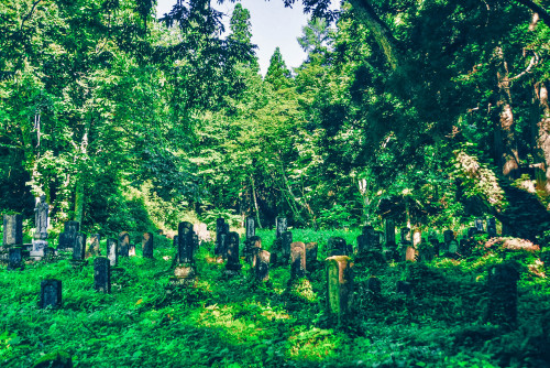 Abandoned Cemetery山奥の無縁墓地,日本