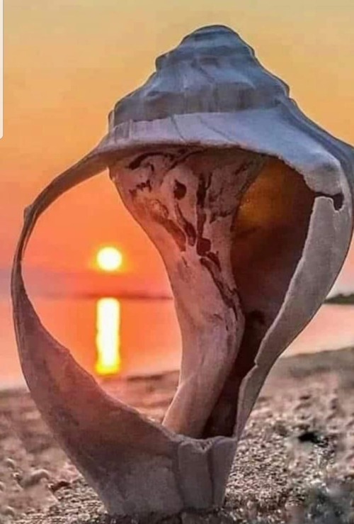 Beautiful