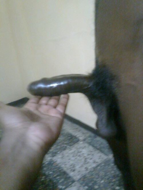 blackloverin:  How is slim cock..  🔥🔥🔥