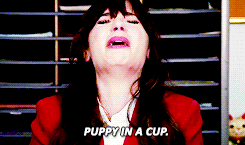 freemindfreebody:  nnewgirl-deactivated20140709: Jessica Day a.k.a an actual tumblr