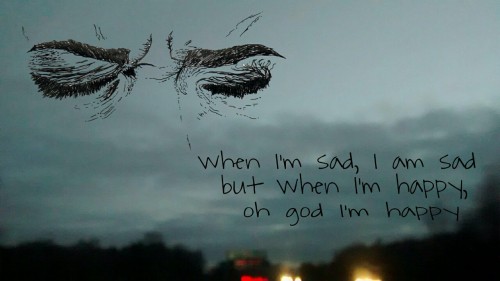 another-lostcause:  The Front Bottoms - Flashlight 