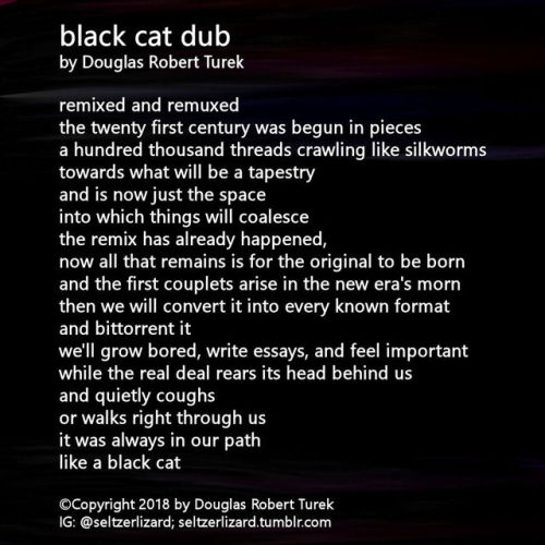 black cat dub by Douglas Robert Turek