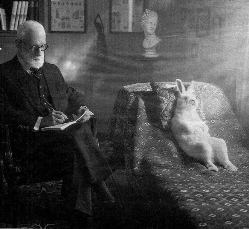 Gio McCluskey - “So, you say her name was Alice?”   Photography