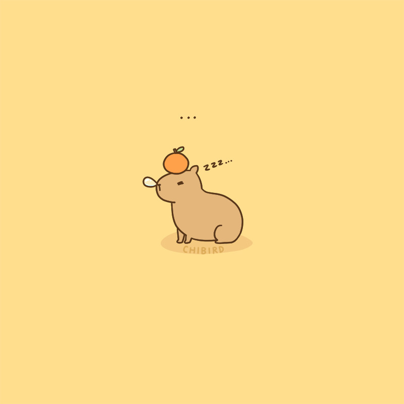 Quill cartoon capybara HD wallpaper  Pxfuel
