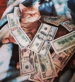 cashcats:  feels good waking up 2 money in
